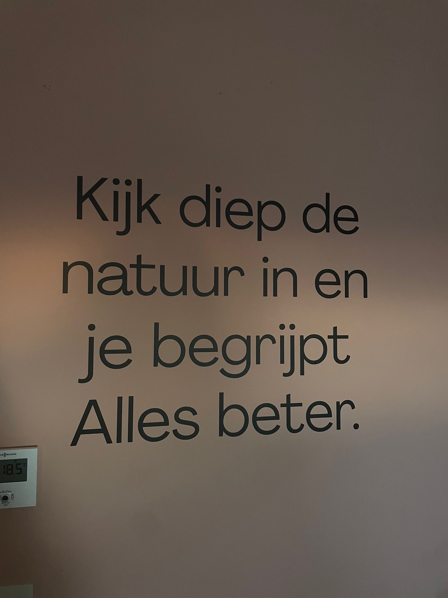 Zilveren_Maan_image00001