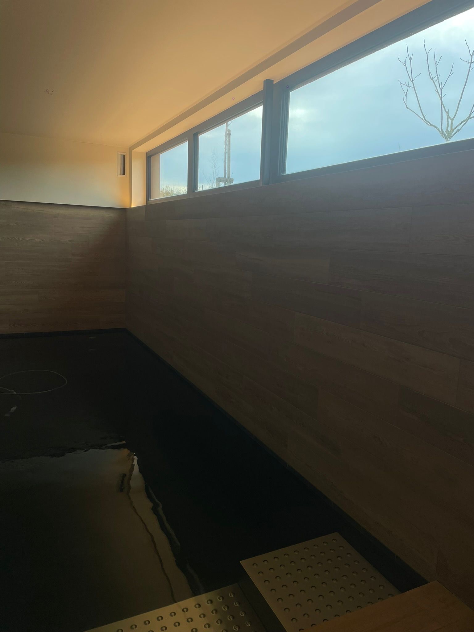 Zilveren_Maan_image00007