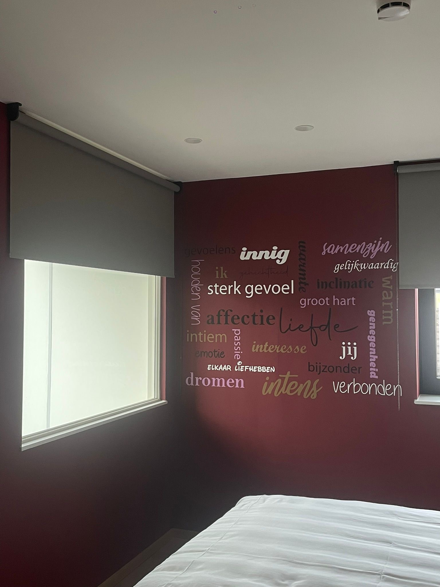 Zilveren_Maan_image00010