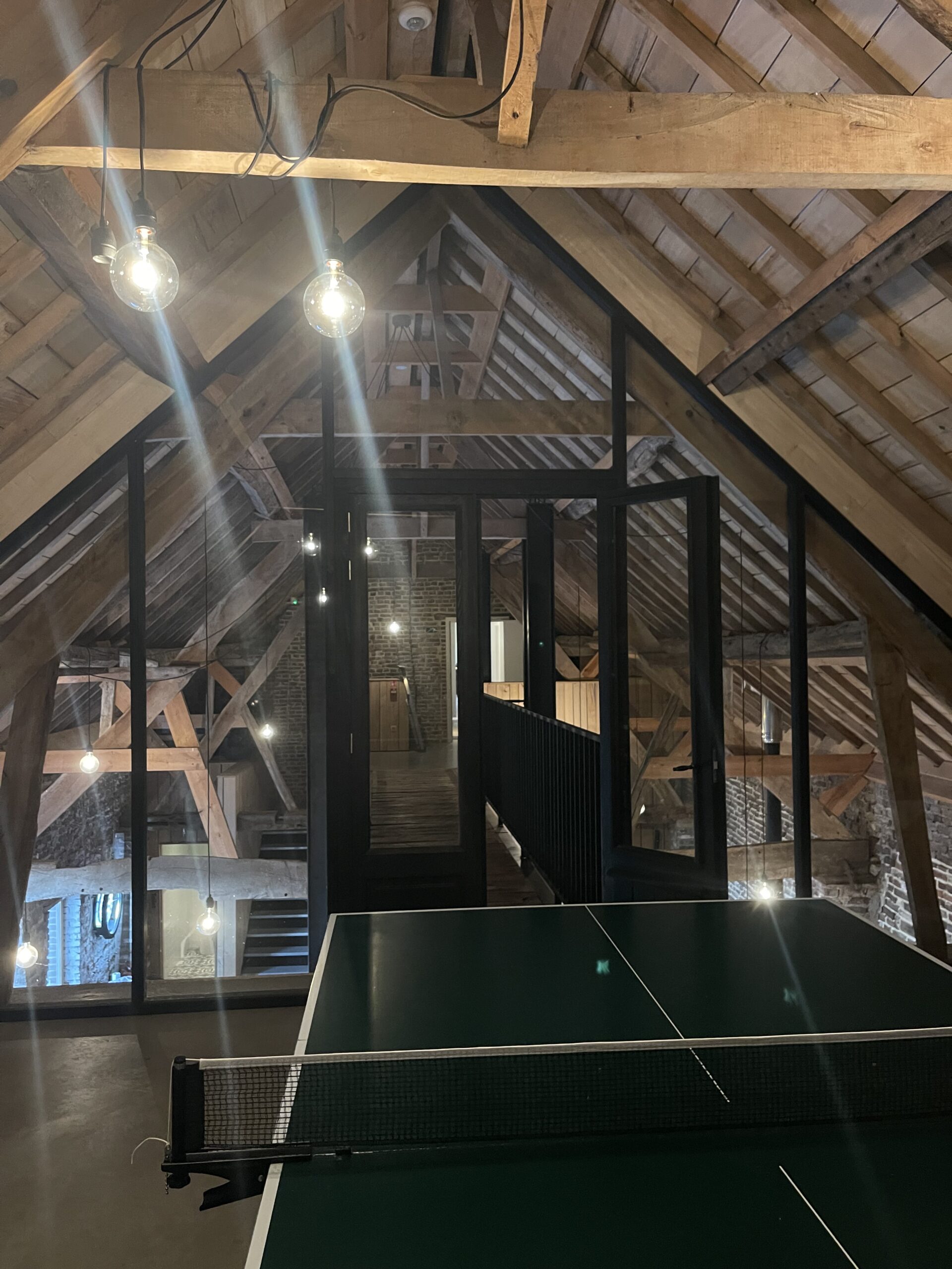 Zilveren_Maan_image00014